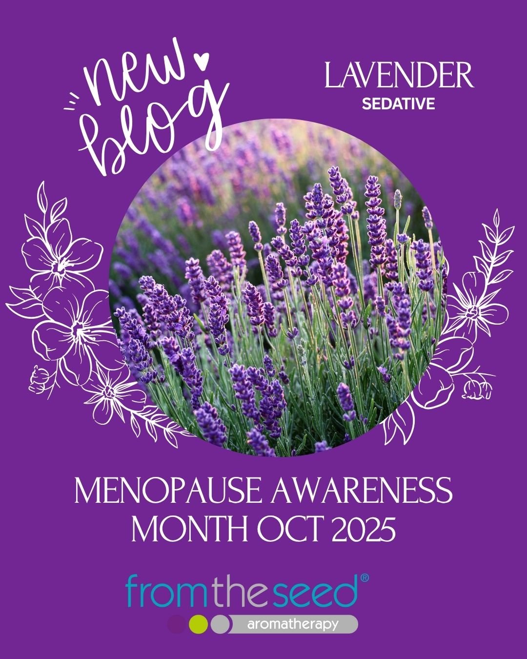 Lavender